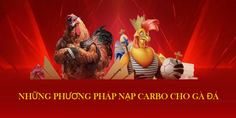 Tổng hợp các cách nạp carbo cho gà đá