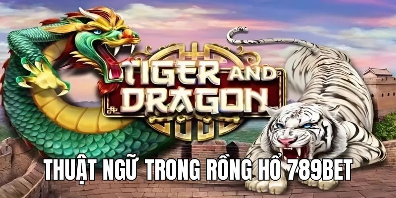 Khám phá các thuật ngữ cơ bản xuất hiện trong Dragon Tiger